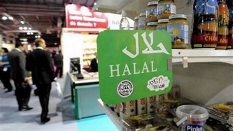 halal industry in indonesia